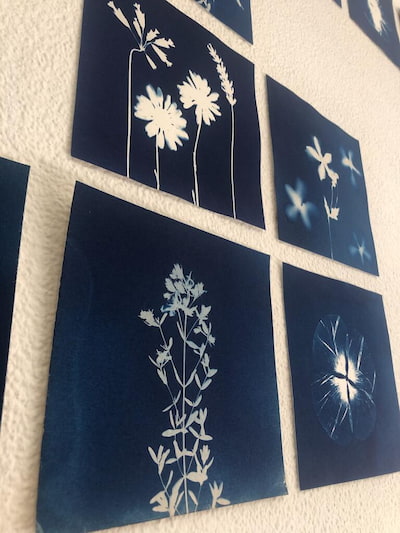 Cyanotypes floraux par Géraldine Terral